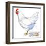 White Leghorn Hen. Poultry Farming. Chicken Breeds Series. Domestic Farm Bird-Faenkova Elena-Framed Art Print