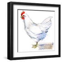 White Leghorn Hen. Poultry Farming. Chicken Breeds Series. Domestic Farm Bird-Faenkova Elena-Framed Art Print