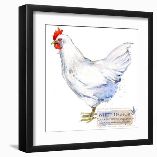 White Leghorn Hen. Poultry Farming. Chicken Breeds Series. Domestic Farm Bird-Faenkova Elena-Framed Art Print