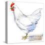 White Leghorn Hen. Poultry Farming. Chicken Breeds Series. Domestic Farm Bird-Faenkova Elena-Stretched Canvas