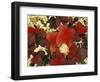 White Lichens and Blueberry in Denali National Park, Alaska, USA-Stuart Westmoreland-Framed Photographic Print