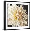 White Light-Sarah Caswell-Framed Giclee Print