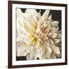 White Light-Sarah Caswell-Framed Giclee Print