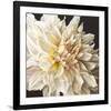 White Light-Sarah Caswell-Framed Giclee Print