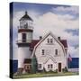 White Lighthouse-Debbi Wetzel-Stretched Canvas