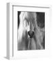 White Lightning-Barry Hart-Framed Art Print