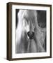 White Lightning-Barry Hart-Framed Giclee Print