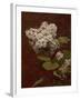 White Lilacs, 1888 (oil on canvas)-Henri Fantin-Latour-Framed Giclee Print