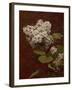 White Lilacs, 1888 (oil on canvas)-Henri Fantin-Latour-Framed Giclee Print