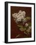 White Lilacs, 1888 (oil on canvas)-Henri Fantin-Latour-Framed Giclee Print