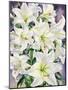White Lilies, 2008-Christopher Ryland-Mounted Giclee Print