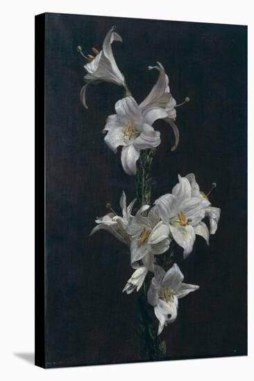 White Lilies, c.1883-Henri Fantin-Latour-Stretched Canvas