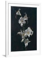 White Lilies, c.1883-Henri Fantin-Latour-Framed Giclee Print