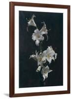 White Lilies, c.1883-Henri Fantin-Latour-Framed Giclee Print