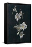 White Lilies, c.1883-Henri Fantin-Latour-Framed Stretched Canvas