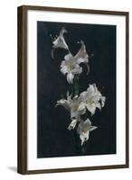 White Lilies, c.1883-Henri Fantin-Latour-Framed Giclee Print