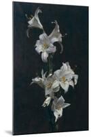 White Lilies, c.1883-Henri Fantin-Latour-Mounted Giclee Print