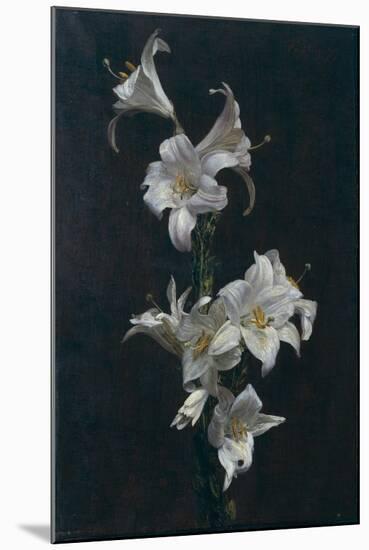 White Lilies, c.1883-Henri Fantin-Latour-Mounted Giclee Print