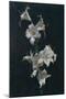 White Lilies, c.1883-Henri Fantin-Latour-Mounted Giclee Print