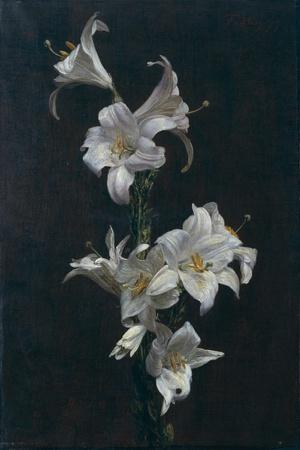 https://imgc.allpostersimages.com/img/posters/white-lilies-c-1883_u-L-Q1I13X20.jpg?artPerspective=n