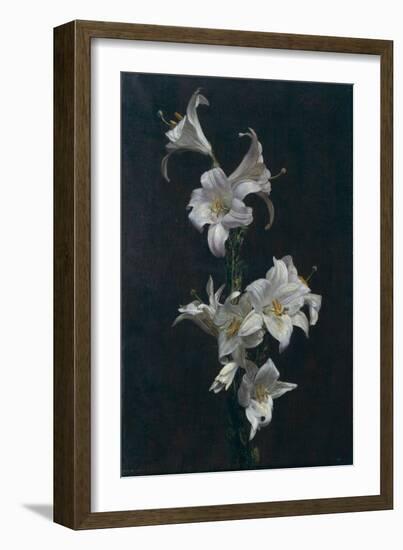 White Lilies, c.1883-Henri Fantin-Latour-Framed Giclee Print