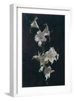 White Lilies, c.1883-Henri Fantin-Latour-Framed Giclee Print