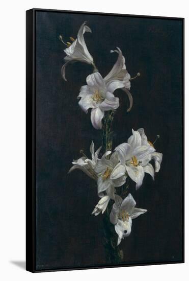 White Lilies, c.1883-Henri Fantin-Latour-Framed Stretched Canvas