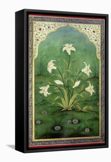 White Lilies-Mark Briscoe-Framed Stretched Canvas
