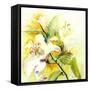 White Lilies-Mary Smith-Framed Stretched Canvas