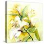 White Lilies-Mary Smith-Stretched Canvas