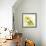 White Lilies-Mary Smith-Framed Giclee Print displayed on a wall