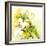 White Lilies-Mary Smith-Framed Giclee Print