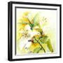 White Lilies-Mary Smith-Framed Giclee Print