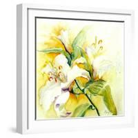 White Lilies-Mary Smith-Framed Giclee Print