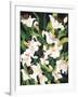 White Lilies-Mary Russel-Framed Giclee Print
