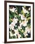 White Lilies-Mary Russel-Framed Giclee Print