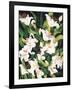 White Lilies-Mary Russel-Framed Giclee Print