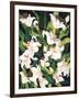 White Lilies-Mary Russel-Framed Giclee Print