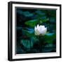 White Lily, 2021, (digital)-Scott J. Davis-Framed Giclee Print