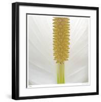 White Lily Abstract No 33-Shams Rasheed-Framed Giclee Print