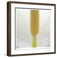 White Lily Abstract No 33-Shams Rasheed-Framed Giclee Print