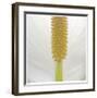 White Lily Abstract No 33-Shams Rasheed-Framed Giclee Print