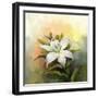 White Lily Flower.Flower Oil Painting-Nongkran_ch-Framed Photographic Print