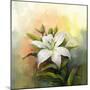 White Lily Flower.Flower Oil Painting-Nongkran_ch-Mounted Photographic Print