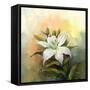 White Lily Flower.Flower Oil Painting-Nongkran_ch-Framed Stretched Canvas