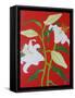 White lily on a red background no.1, 2008-Timothy Nathan Joel-Framed Stretched Canvas
