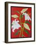White lily on a red background no.1, 2008-Timothy Nathan Joel-Framed Giclee Print