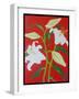 White lily on a red background no.1, 2008-Timothy Nathan Joel-Framed Giclee Print