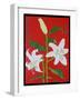 White lily on a red background no.2, 2008-Timothy Nathan Joel-Framed Giclee Print