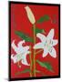 White lily on a red background no.2, 2008-Timothy Nathan Joel-Mounted Giclee Print